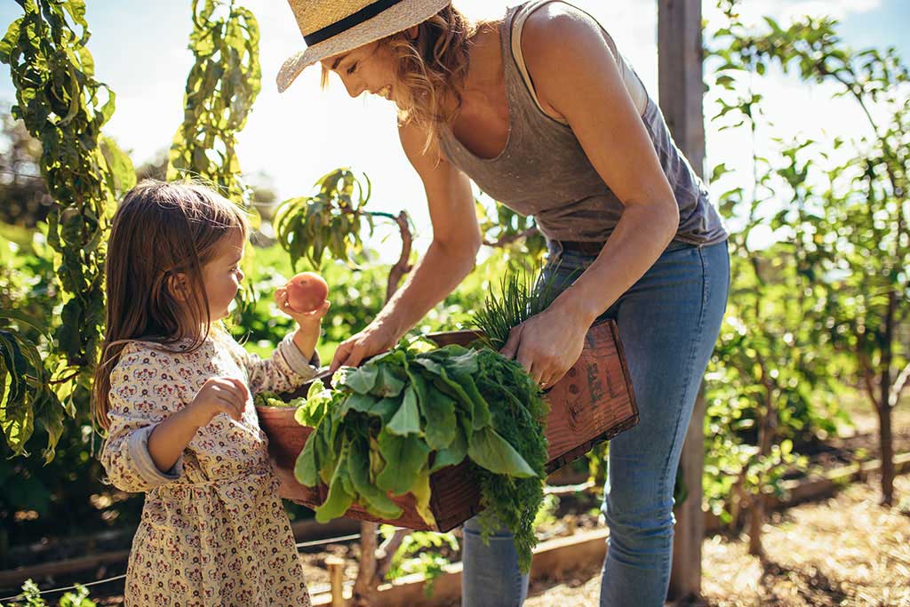 Girl picking fruit with her mother
